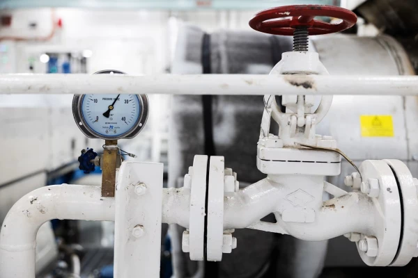 Изображение к статье: Продукция из страны Суоми разыскивается россиянами по всему миру.