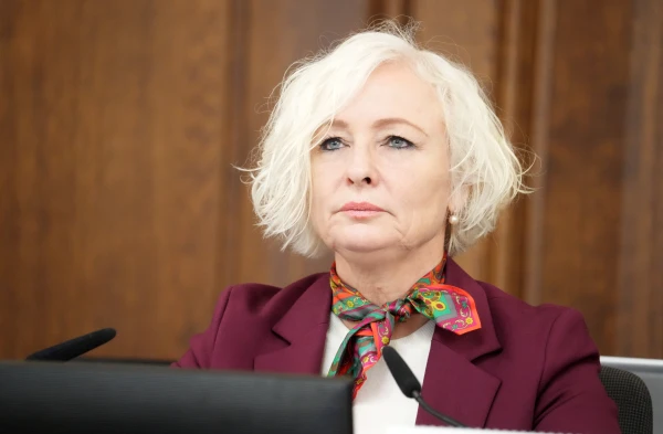 Изображение к статье: Дайга Миериня.