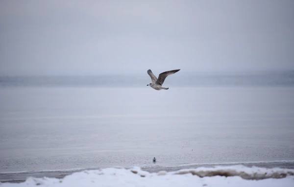 Изображение к статье: В течение дня температура воздуха не повысится