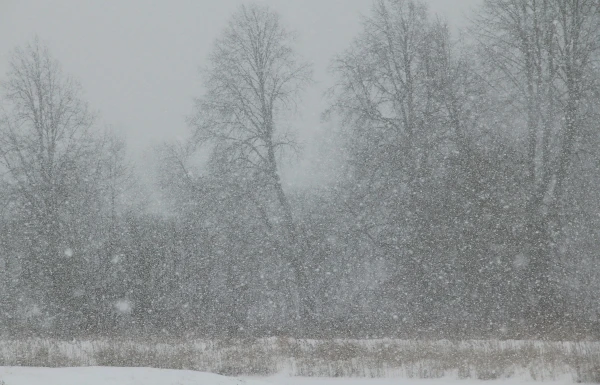 Изображение к статье: Погода с сюрпризами: на следующей неделе возможен опасный гололёд