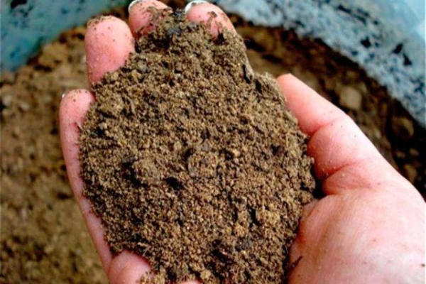 Изображение к статье: Как улучшить песчаную почву?