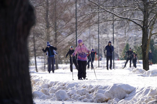 Изображение к статье: В воскресенье в Латвии - настоящая зимняя погода