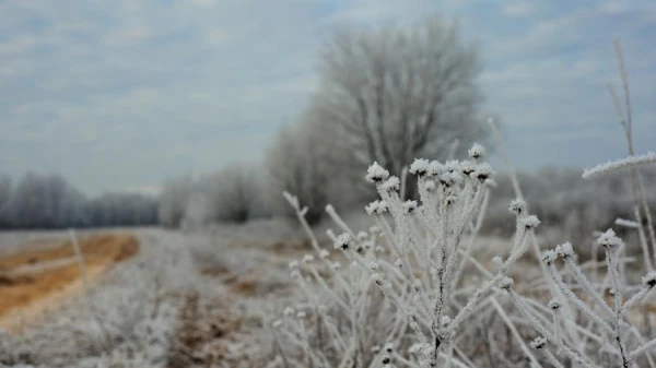 Изображение к статье: Синоптики «подбодрили» прогнозом на понедельник