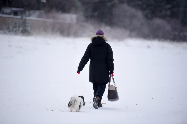 Изображение к статье: Мощный снегопад идет на Латвию - синоптики выпустили предупреждение