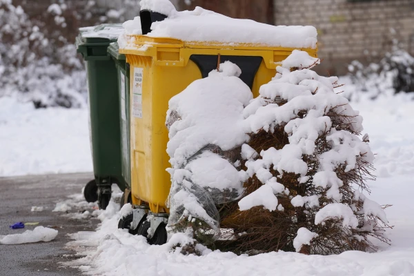 Бутылки направо, еда – налево: жителям Риги придется покопаться в мусоре