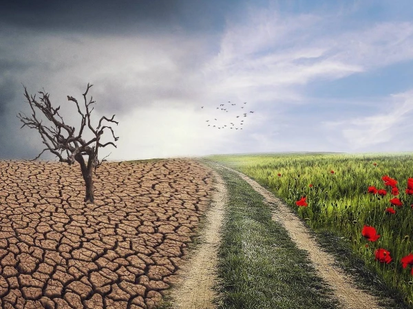 США второй раз за пять лет официально вышли из Парижского климатического соглашения