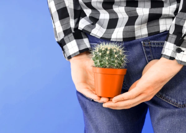 8 вопросов проктологу о лечении геморроя, которые вы боялись задать