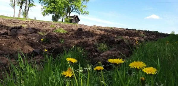 Всем спасибо! - В Латвии официально вернули всю землю, отнятую коммунистами