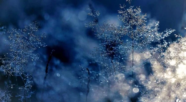 В четверг морозы усилятся еще больше. Вы готовы?