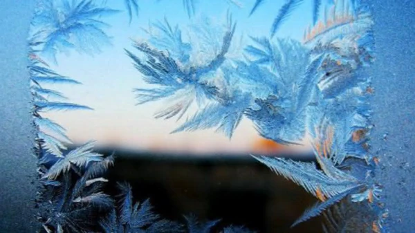 Изображение к статье: Неутешительный прогноз  для Латвии на ближайшие сутки