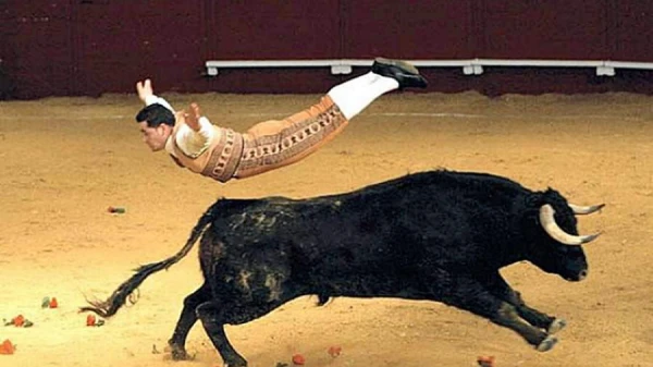 Действительно ли быки реагируют на красный цвет? Или причина в чем-то ином?