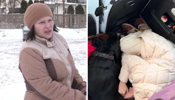 Изображение к статье: «Либо вы, либо собаки»: у женщины на шоссе сломался новый автомобиль, а служба помощи развела руками