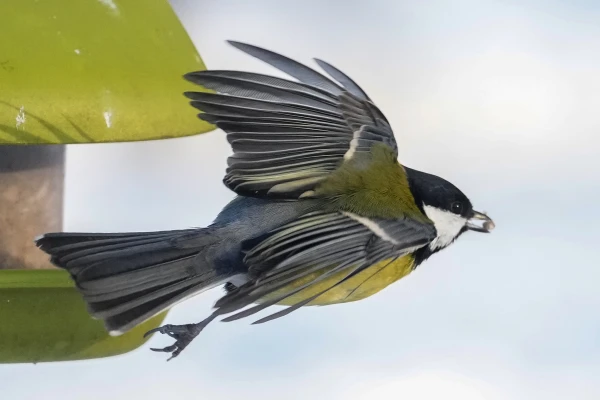 До −30 ночью и солнце днём: Латвию ждёт контрастное воскресенье