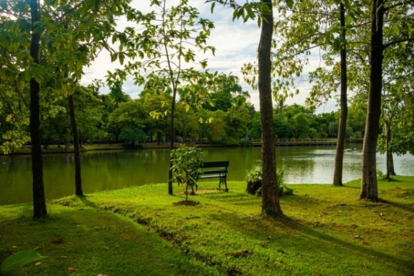 Изображение к статье: Соль, пластик и экстремальное тепло губят городскую почву