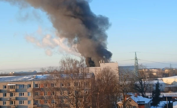 Foto: Elīna Zālīte