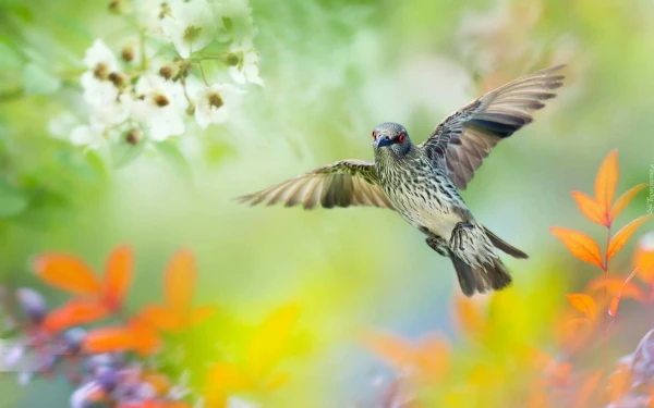 20 причин вставать в 5 утра и менять качество жизни