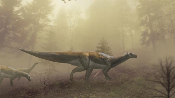 Эти ящеры были даже в чем-то грациозные.