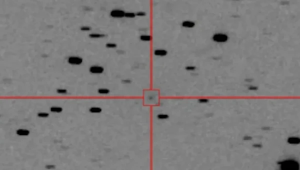 Комета C/2026 A1 будет видна в небе даже днем: астрономы рассказали, когда смотреть вверх