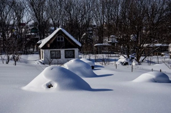 Изображение к статье: На пользу здоровью? Чем на самом деле хороши снежные зимы