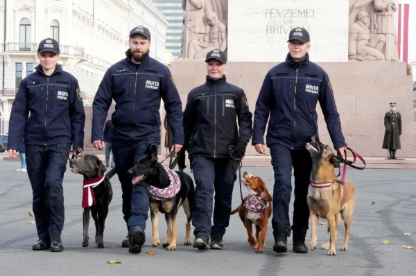 Изображение к статье: СГБ: нарушители санкций продолжают разрабатывать новые схемы их обхода