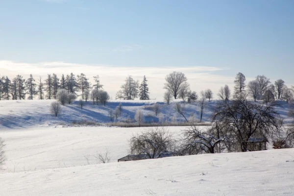 Синоптики обещают отличную погоду