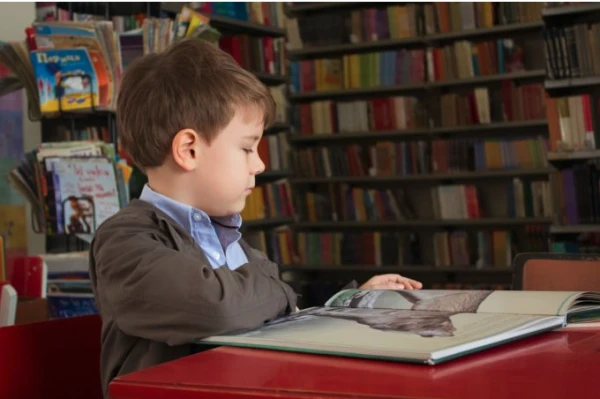 Изображение к статье: фото: Anita Jankovic/Unsplash