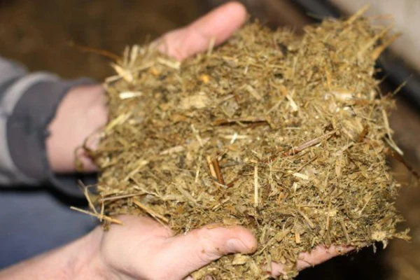 Изображение к статье: Вредные аспекты органических удобрений: что нужно знать