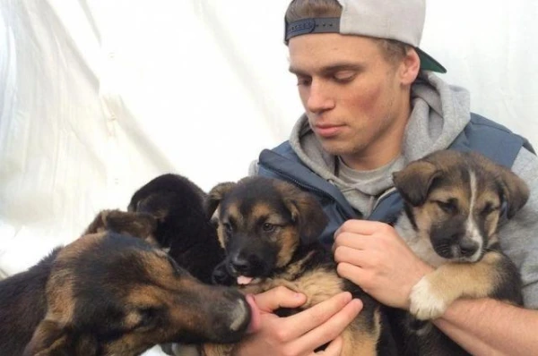 Могут ли животные участвовать в Олимпийских играх?