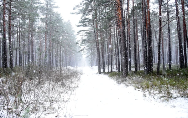 Изображение к статье: С запада усиливается влияние циклона