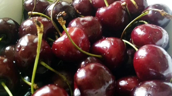 Изображение к статье: Почему стоит прививать вишню в саду?