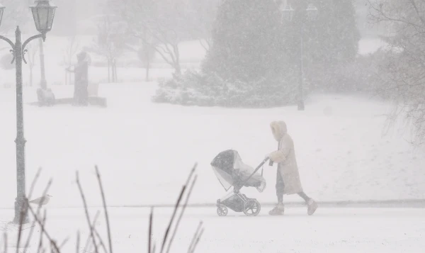 На пути сокращения населения: в Латвии снова рухнула рождаемость