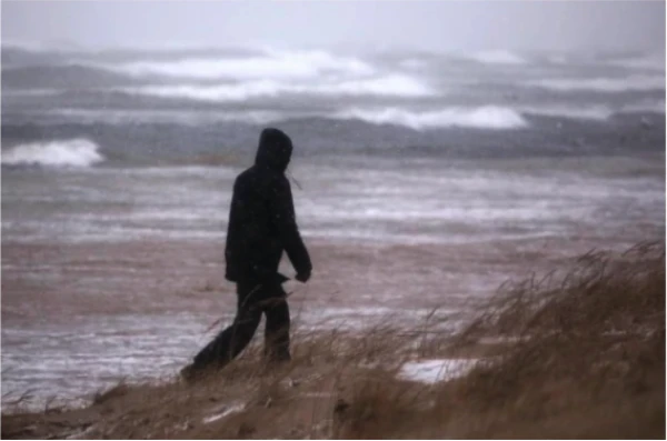 К выходным в Латвию придут сильные ветры - синоптики предупредили жителей