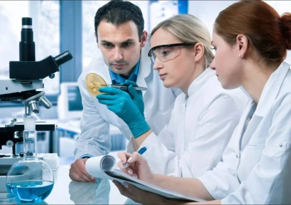 Изображение к статье: Иностранный гражданин вправе самостоятельно заявить о себе как о высококвалифицированном специалисте.