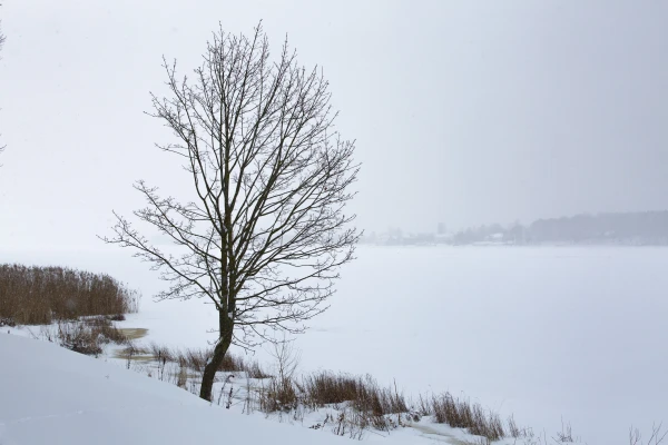 Изображение к статье: Латвию снова «подморозит» - синоптики дали прогноз