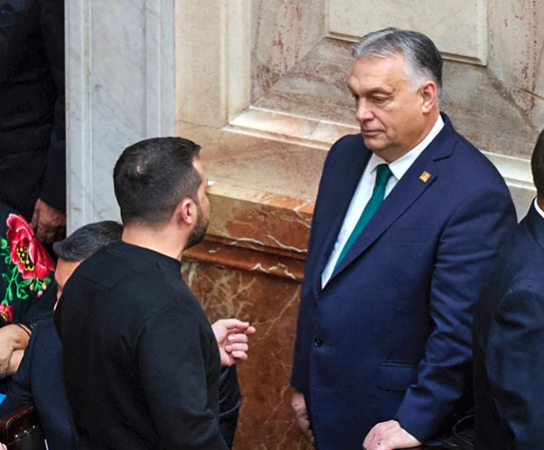 Зеленский поблагодарил Орбана