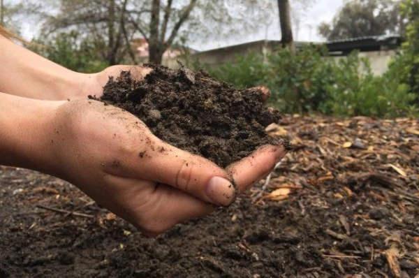 Изображение к статье: Как улучшить состояние почвы?