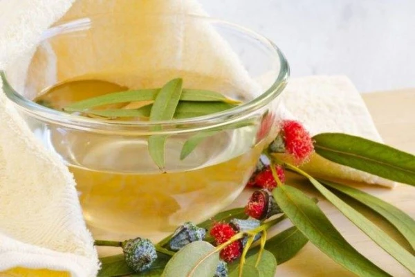 Изображение к статье: Терапевт объяснил, какие растения помогут избавиться от вирусов в квартире