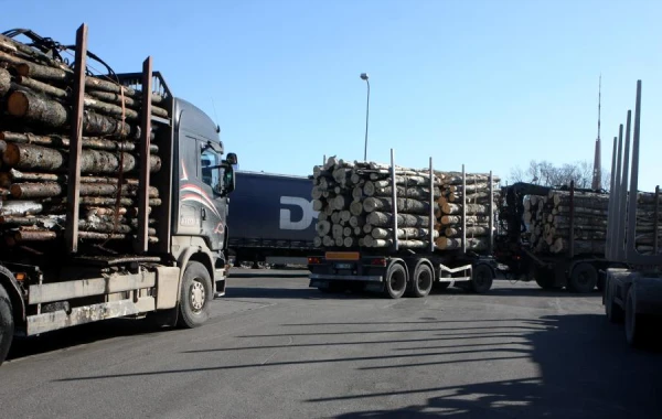 Объем вместо качества: в экспорте Латвии заметна низкая добавленная стоимость