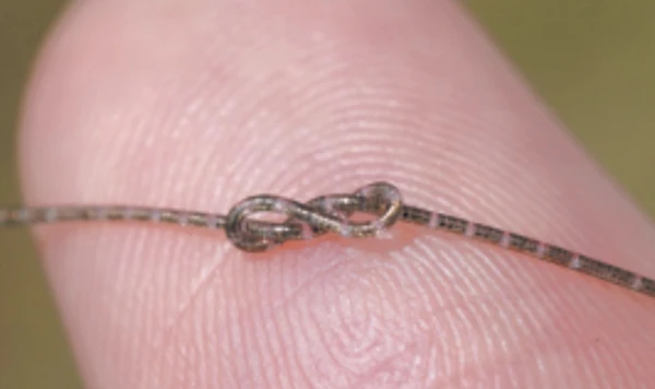 Он очень маленький, и многое умеет.