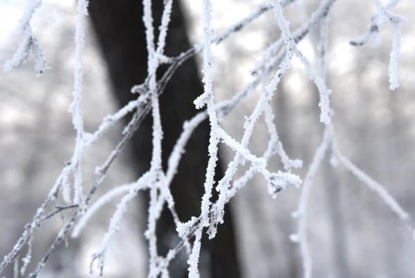 Изображение к статье: В этом году 20 человек замерзли насмерть