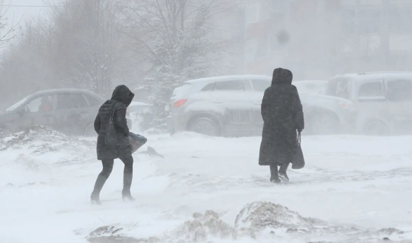На Латвию снова идет снег - синоптики призвали готовиться