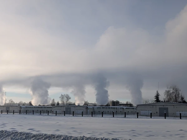 Изображение к статье: Фото очевидца.