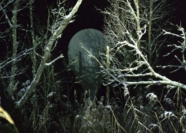 Изображение к статье: В Вильнюсском аэропорту более чем на час приостанавливали движение из-за контрабандных аэростатов