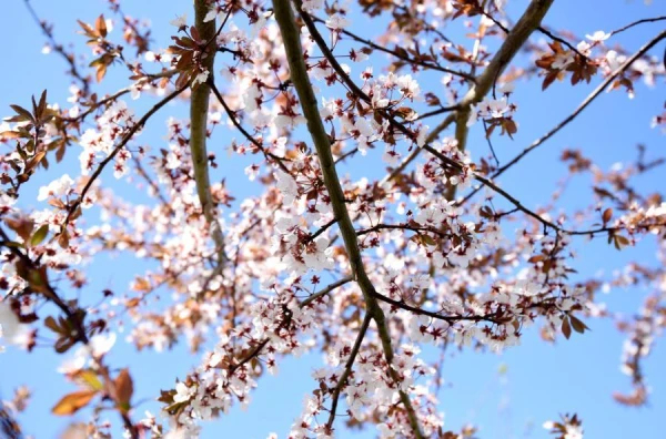 Врач объяснил, как подготовить организм к весеннему периоду