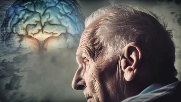 Изображение к статье: Названо способное защитить мозг от возрастных изменений масло