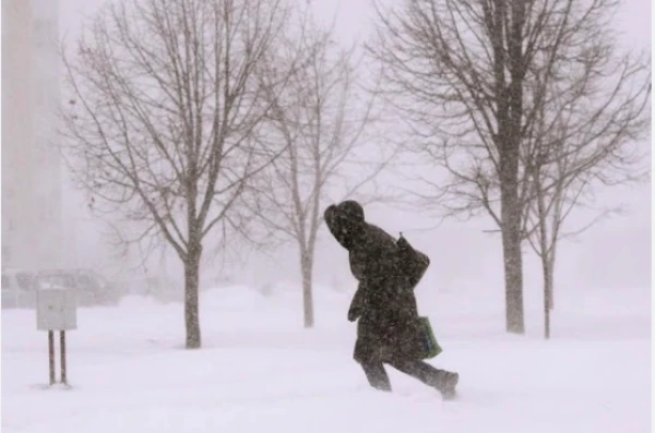 Изображение к статье: На Латвию идёт мощное усиление ветра и позёмок - синоптики выпустили предупреждение