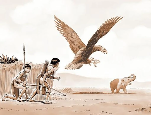 Изображение к статье: Где обитала птица рухх?