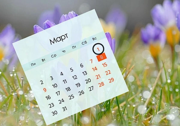 С 1 марта меняется целый ряд законодательных актов, регулирующих правила проживания в Латвии. Не пропустите!