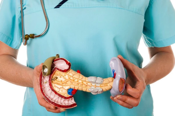 Изображение к статье: Пять признаков проблем с поджелудочной и что делать для защиты органа