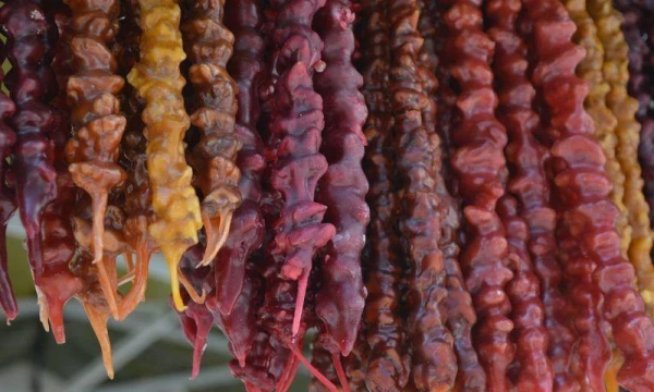 Чурчхела: полезные свойства и противопоказания